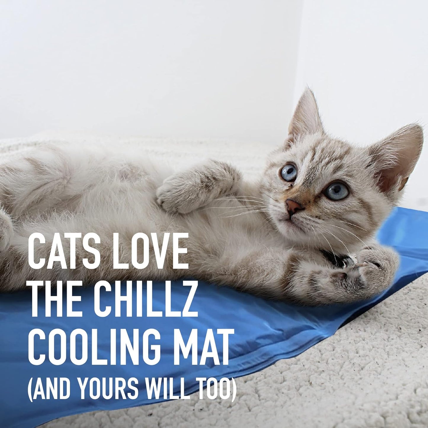 Cooling Gel Mat for Cat|  Summer Mat For Cat