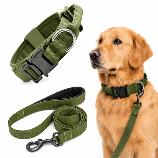 Heavy Duty Dog Collar & Leash Set with Control Handle, Adjustable Training Collar with Metal Buckle