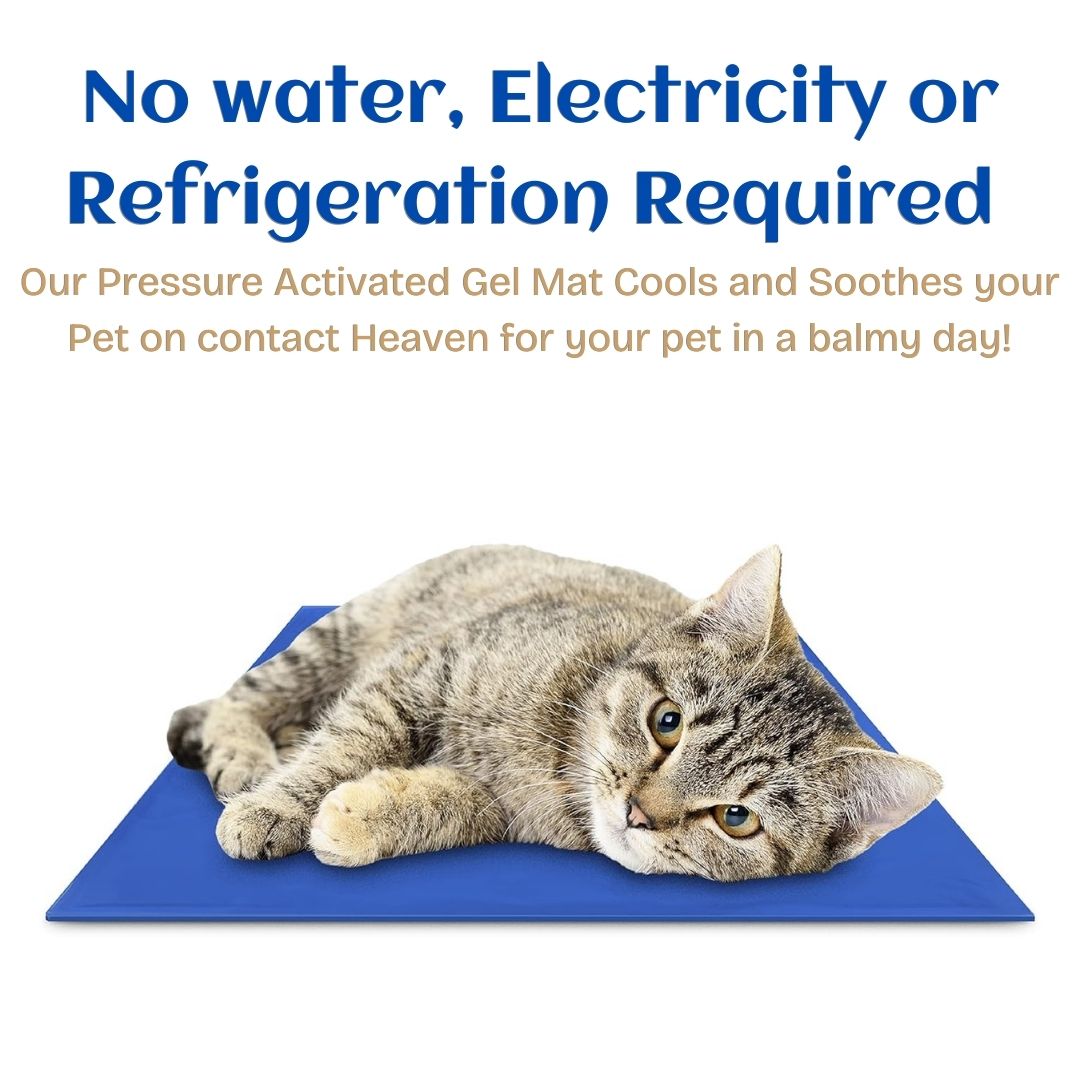 Cooling Gel Mat for Cat|  Summer Mat For Cat