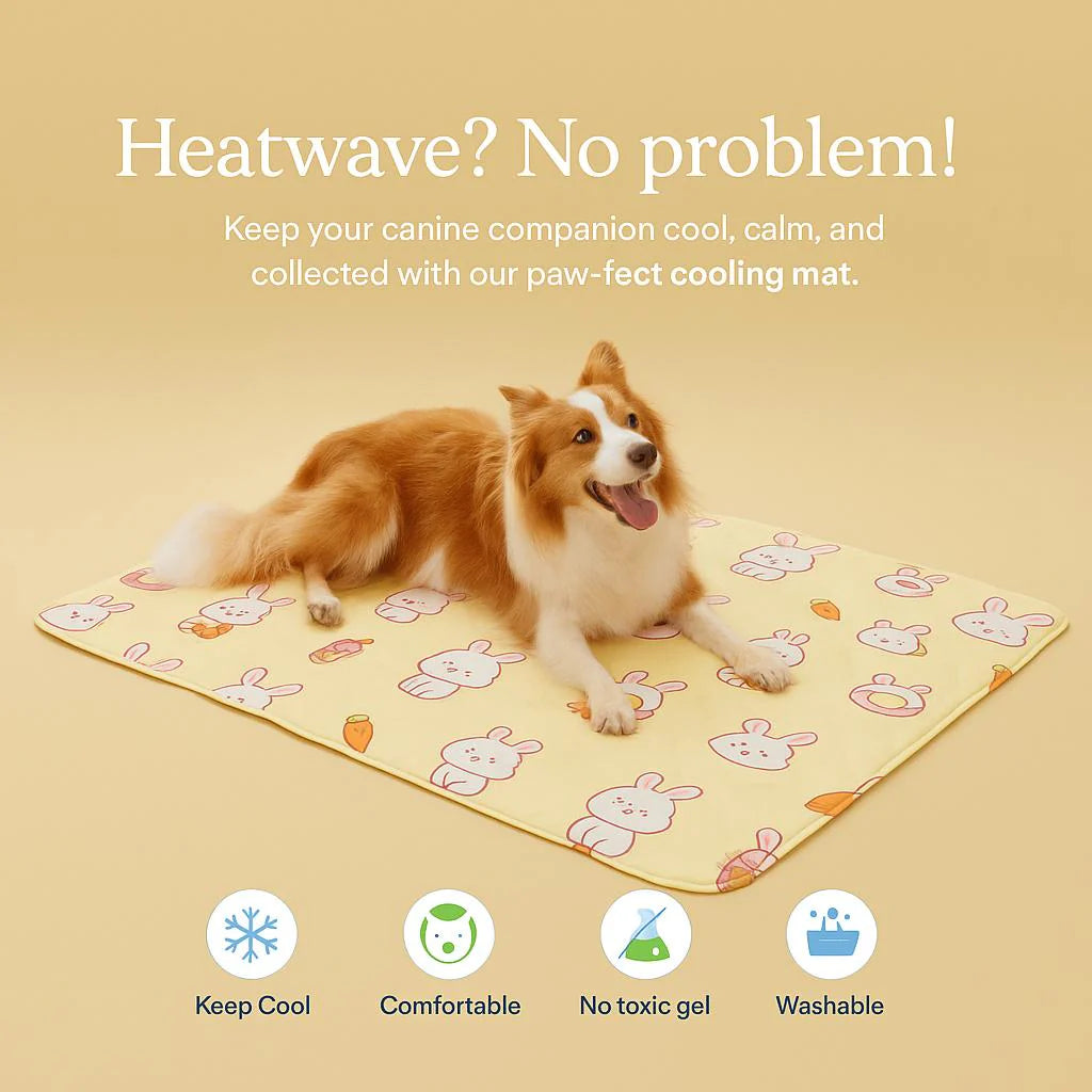 Cooling Gel Mat for Dog, Gel Cool Mat for Summer Days
